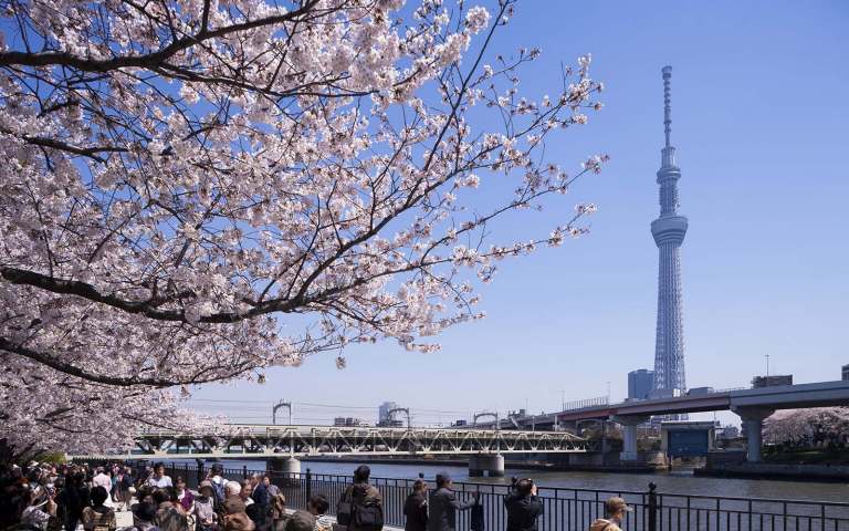 Fly til Japan med SAS Fly til Japan med SAS